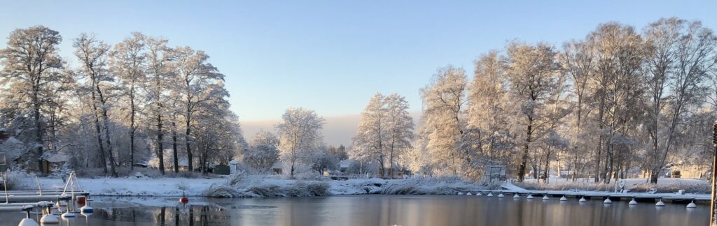 Föreningen från fruset hav